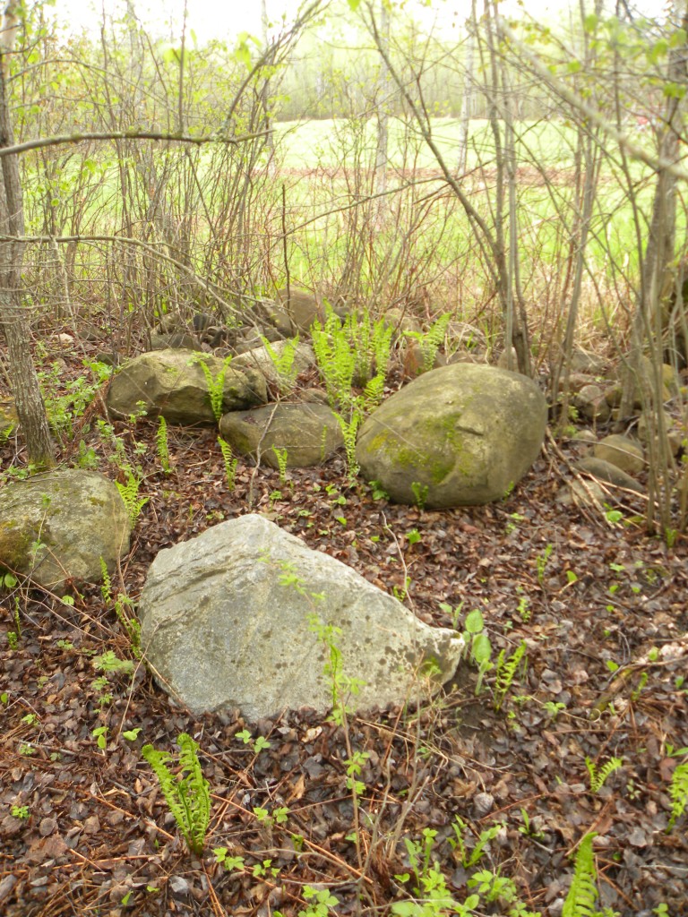 A Collection of Garden Rocks Successfully Sidelined