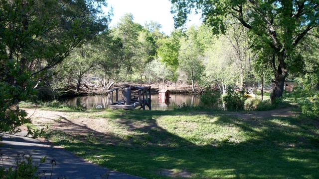 Rosemary's Pond, Garden and Sanctuary with Nature 