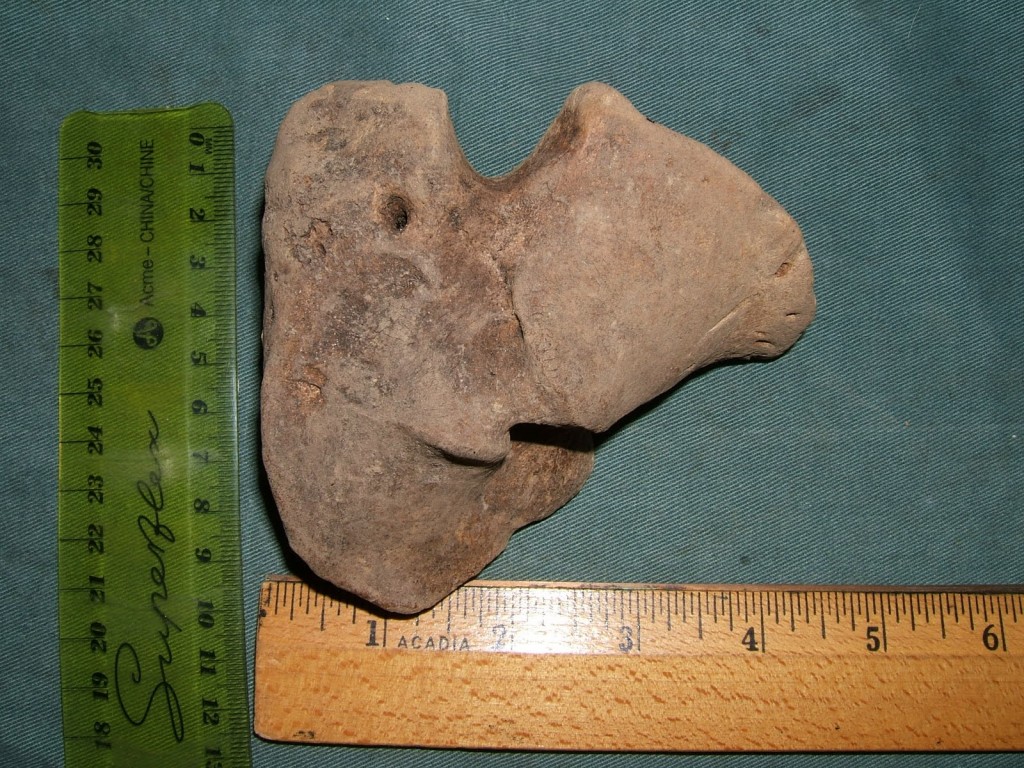 Unidentified Bone Discovered  in Clay