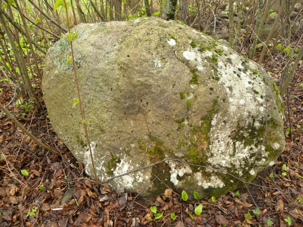 An Original Garden Rock