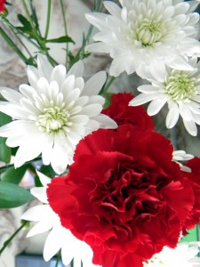 White and Red flowers